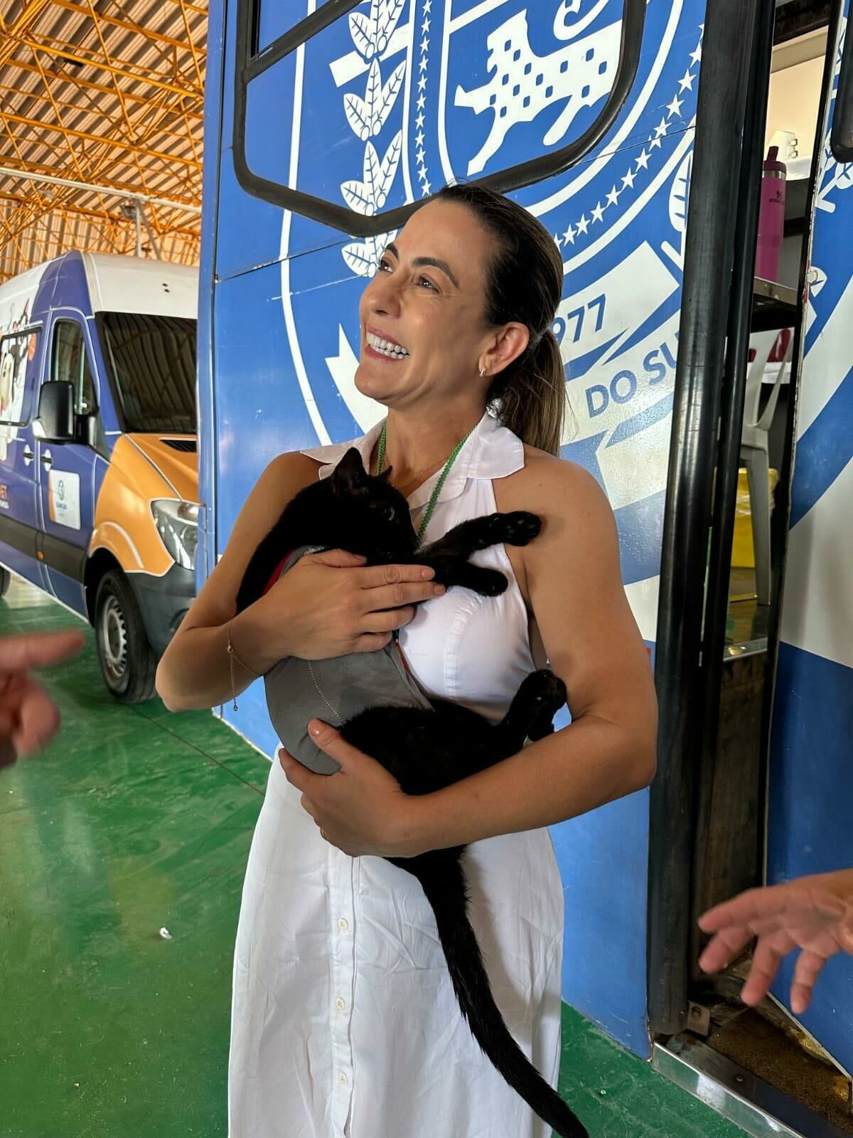 Imagem de compartilhamento para o artigo Caravana da Castração chega a Paraíso das Águas com 160 vagas gratuitas da MS Todo dia